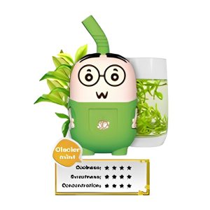 Lovely Family Disposable 8000 Puffs - Longjing Tea