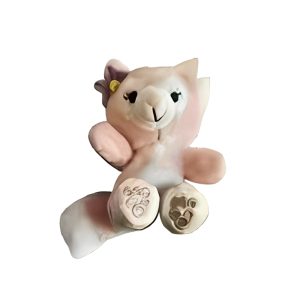 RG Plush World Disposable Vape 8000 Puffs - Peach