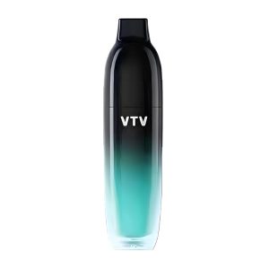 VTV Disposable Vape 5000 Puffs 12ml - Longjing